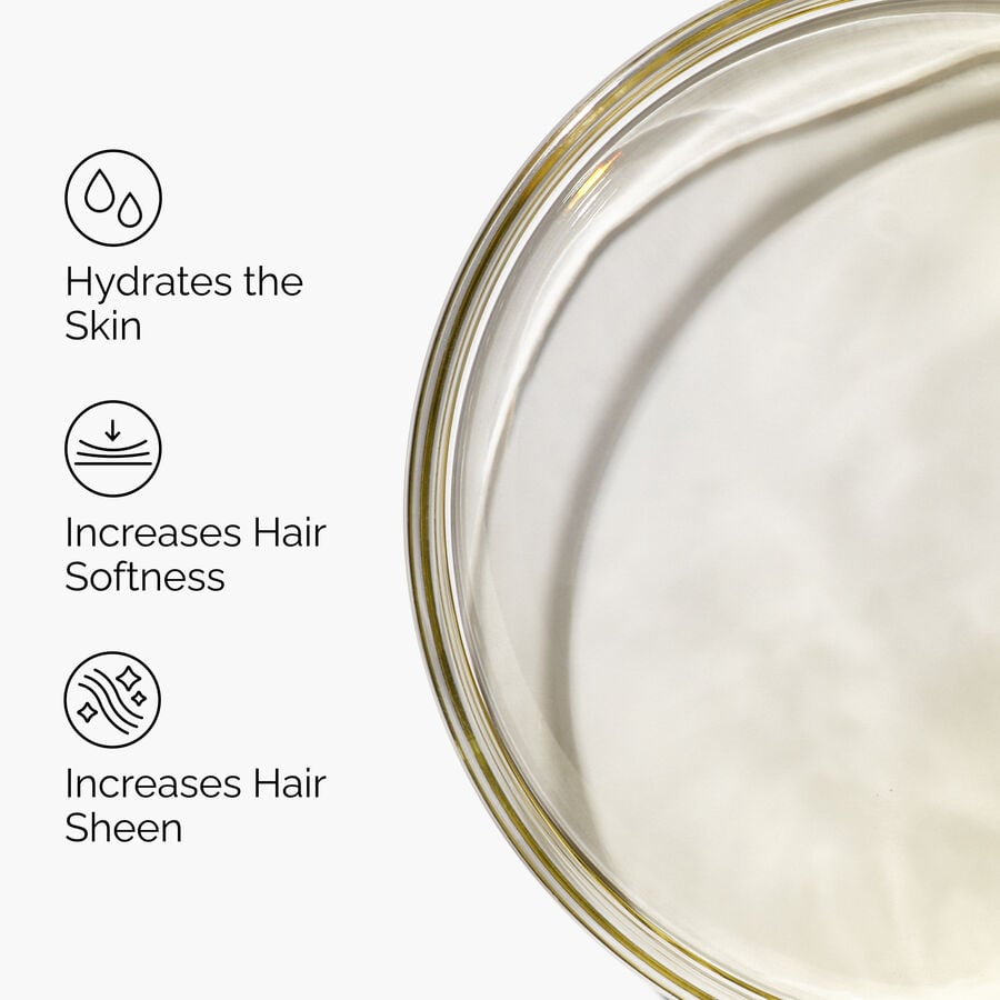 100-organic-cold-pressed-moroccan-argan-oil-v4 FY25-D41247-ORD-Web-PDP-100-Argan-Oil-1x1-EN-3.jpg