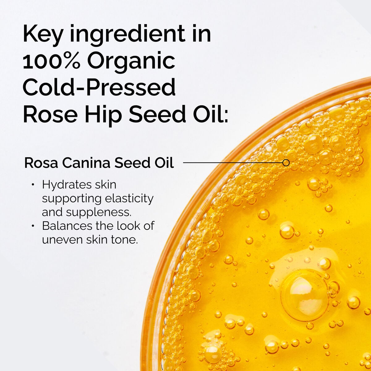 100-organic-cold-pressed-rose-hip-seed-oil-t0 FY25-D41247-ORD-Web-PDP-100-Rose-Hip-Oil-1x1-EN-2.jpg