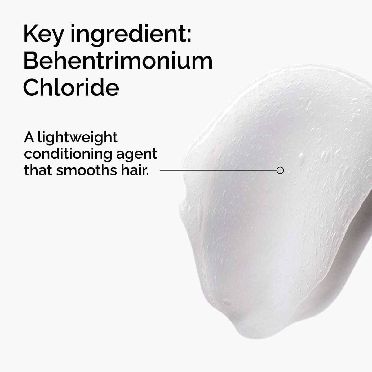 behentrimonium-chloride-2-conditioner-u5 FY25-D41247-ORD-Web-PDP-BTC-1x1-EN-2a.jpg