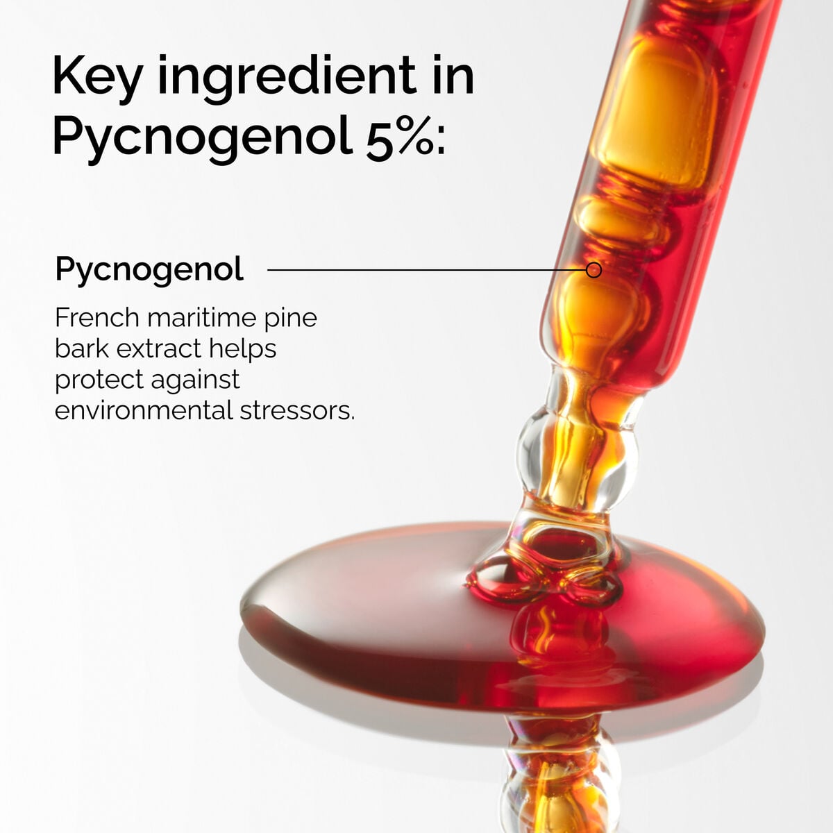 pycnogenol-5-f6 FY25-D41247-ORD-Web-PDP-Pyc-5pct-1x1-EN-2a.jpg