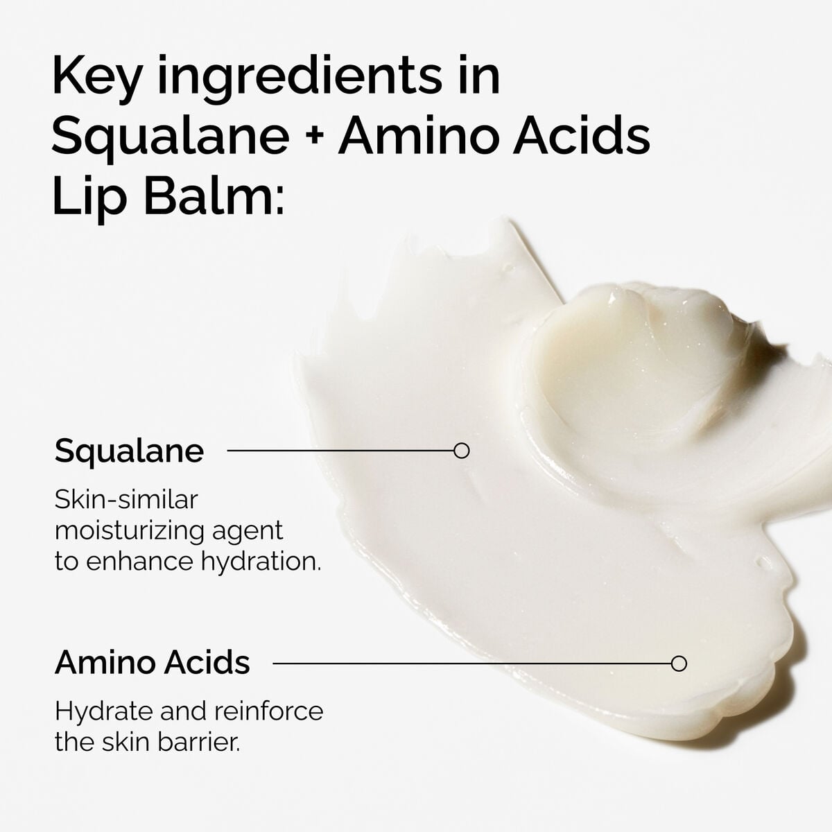 squalane-amino-acids-lip-balm-a3 FY25-D41247-ORD-Web-PDP-Sql-Amino-Lip-1x1-EN-2a.jpg